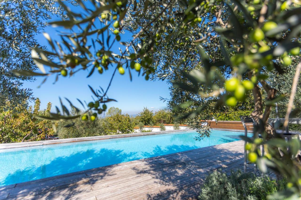 Villa Emi Zgornje Skofije Kültér fotó