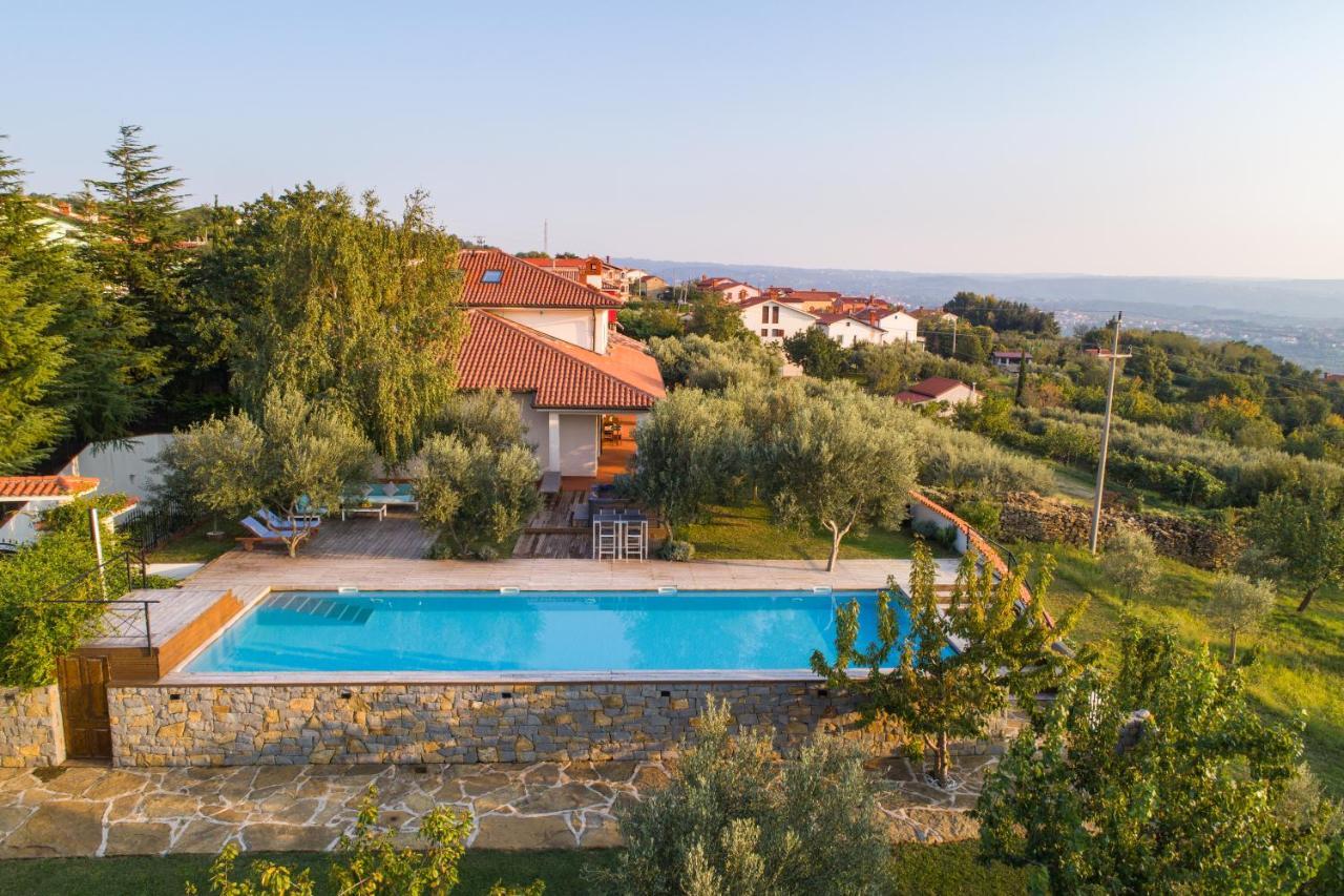 Villa Emi Zgornje Skofije Kültér fotó